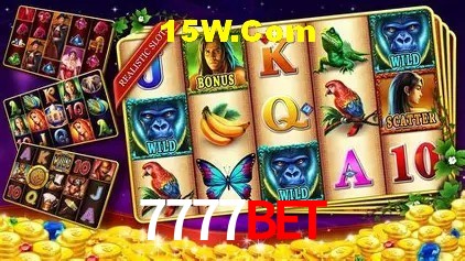 7777bet Belo Horizonte - Winners